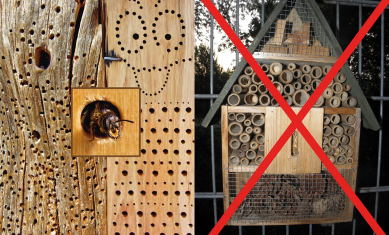 April 2021: Insektenhotels richtig bauen