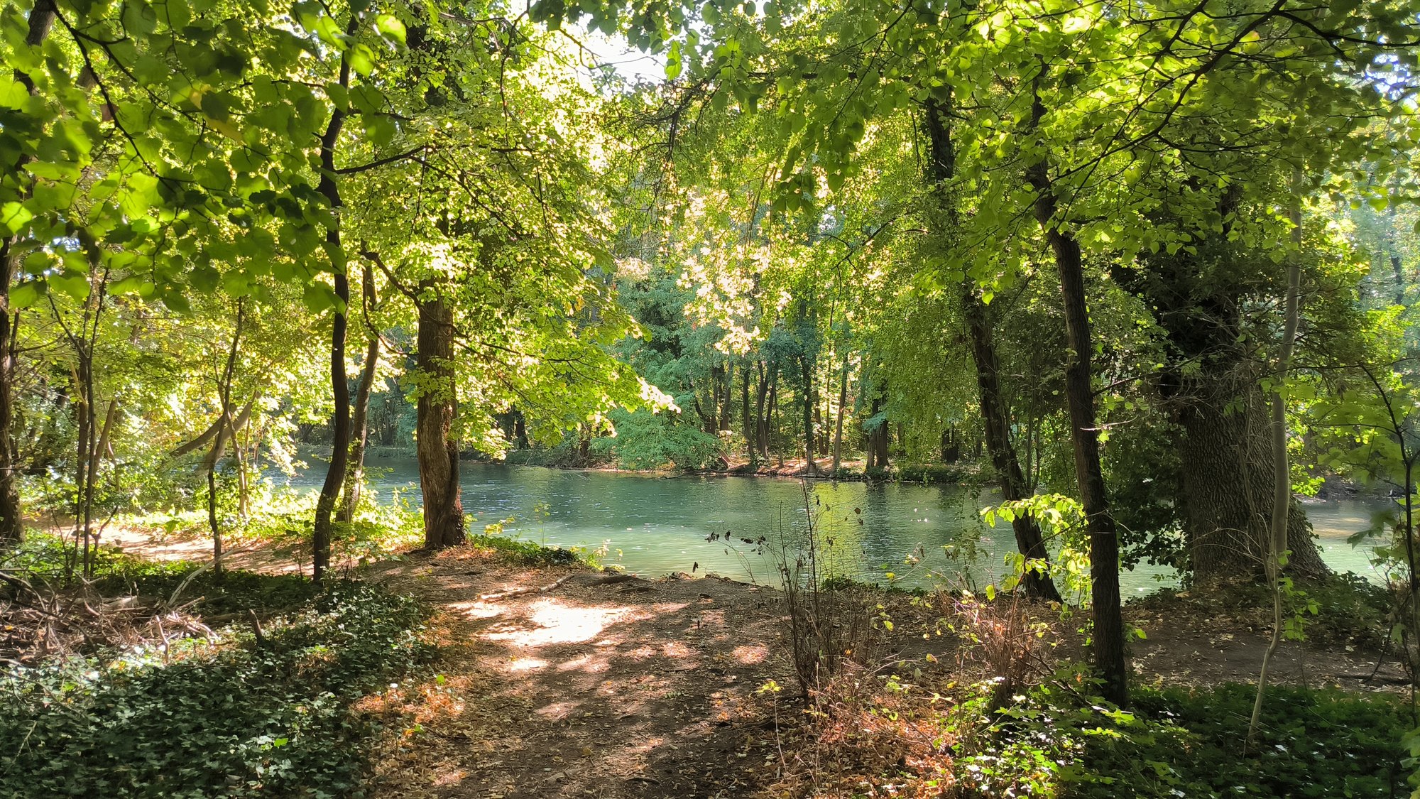 Bäume und ein Fußweg am Wasser