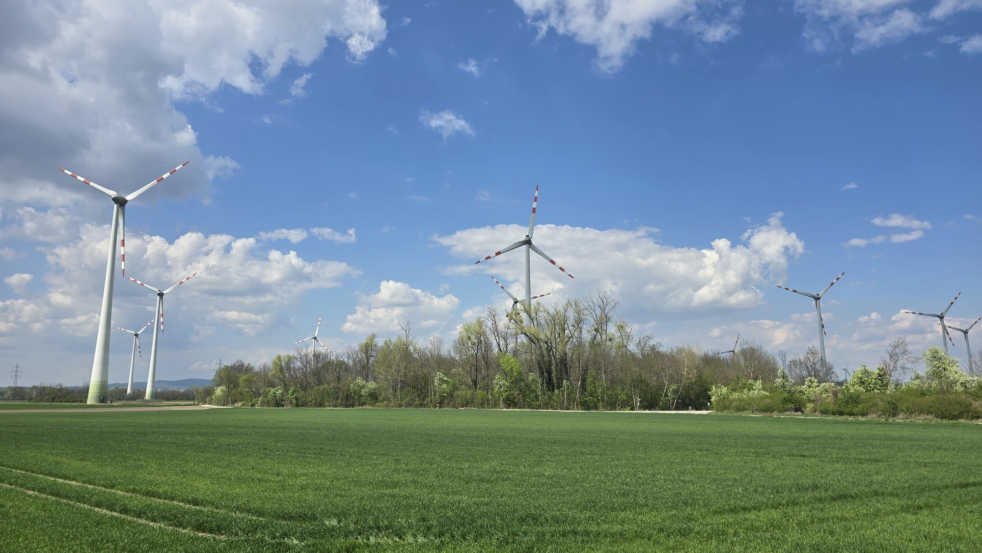 Windkraftanlagen hinter grünen Feldern